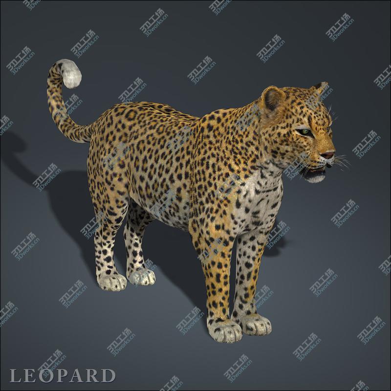 images/goods_img/2021040163/Leopard (FUR)/2.jpg